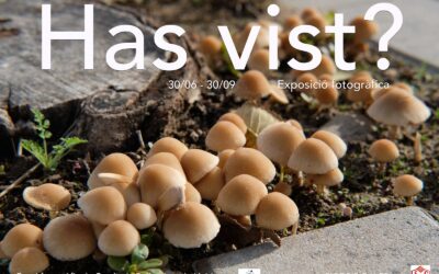 Exposició fotogràfica