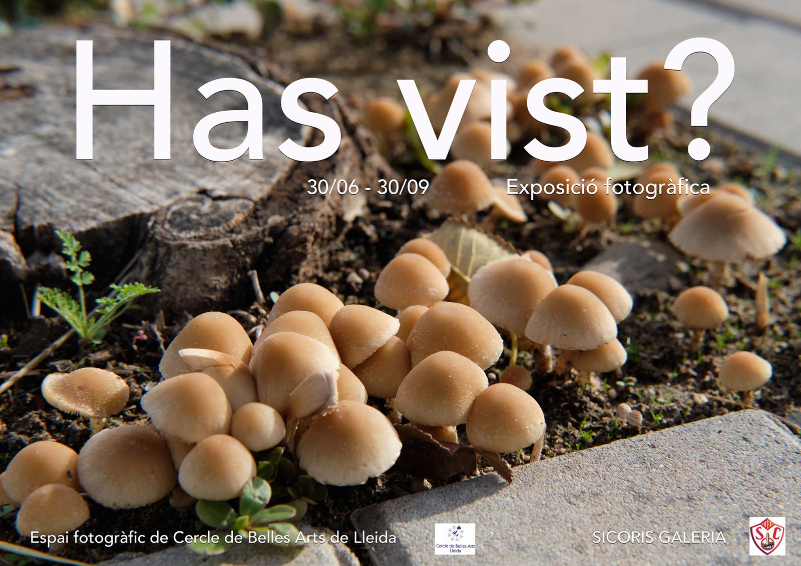 Exposició fotogràfica